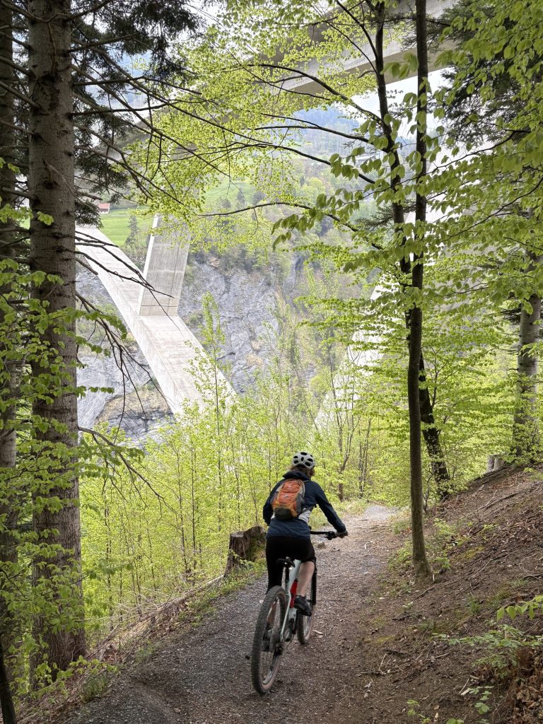 eMTB "Grundkurs on Trail"