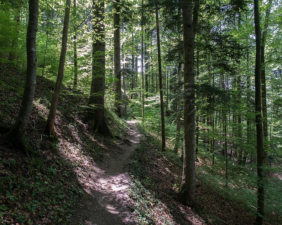 Vogesen - Zwischen Geschichte und Neuzeit, oder "wo Trailträume wahr werden"